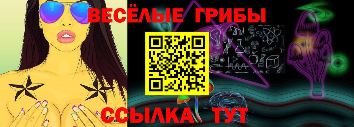 купить наркотик  Галлюциногенные грибы мицелий  Вход с VPN  Звенигород 