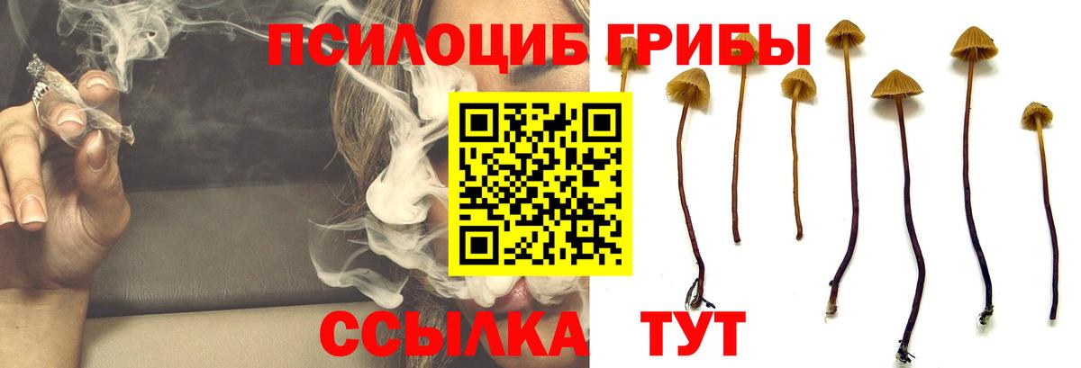 Галлюциногенные грибы мухоморы Звенигород